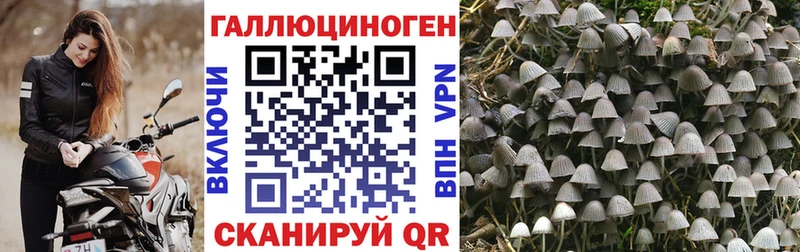 Псилоцибиновые грибы MAGIC MUSHROOMS  MEGA   Волосово  где найти  